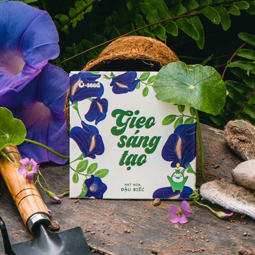 Phong bao hạt giống Gieo Sáng tạo - Hạt hoa đậu biếc