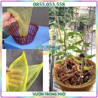LƯỚI LÓT CHẬU TRỒNG PHONG LAN