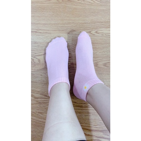 Tất Hoa Cúc Nữ Cổ Ngắn Siêu Cute 5 màu