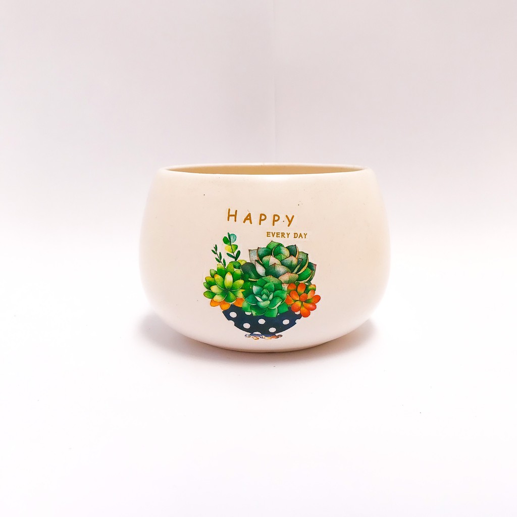 CHẬU HẠT DẺ TRỒNG SEN ĐÁ, CÂY PHONG THỦY, CÂY BONSAI MINI