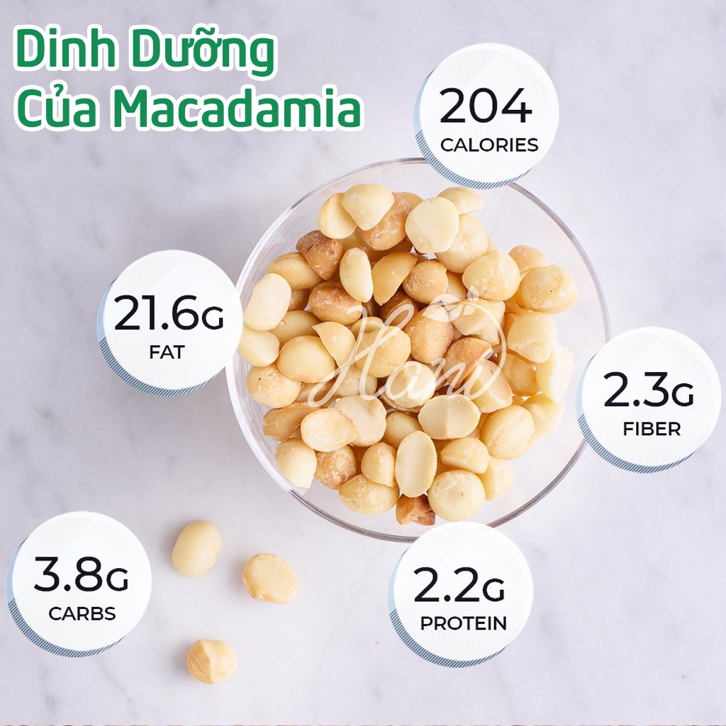 Nhân Maca Sấy Chín Sạch Thơm Giòn Béo 500g, Nữ Hoàng Các Loại Hạt Daklak ☂️ Dinh Dưỡng Hani Food