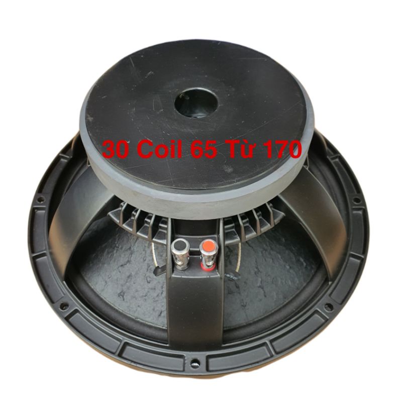 Bass 30 Coil 65 Từ 170 Sườn Đúc 1265 Nhập