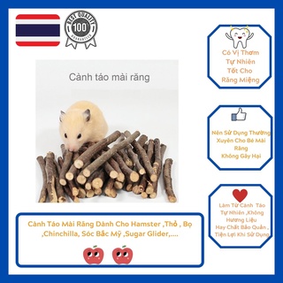 Cành Táo Mài Răng Cho Thỏ, Bọ, Sóc Bắc Mỹ , Chinchilla , Hamster .... Gói 80gr