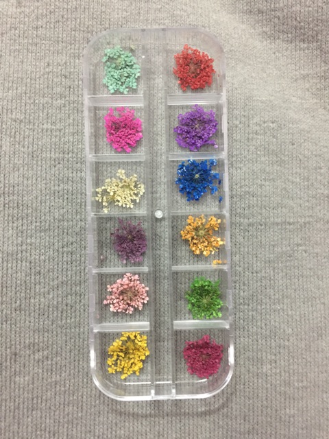 Hoa khô đắp gel ẩn cho móng