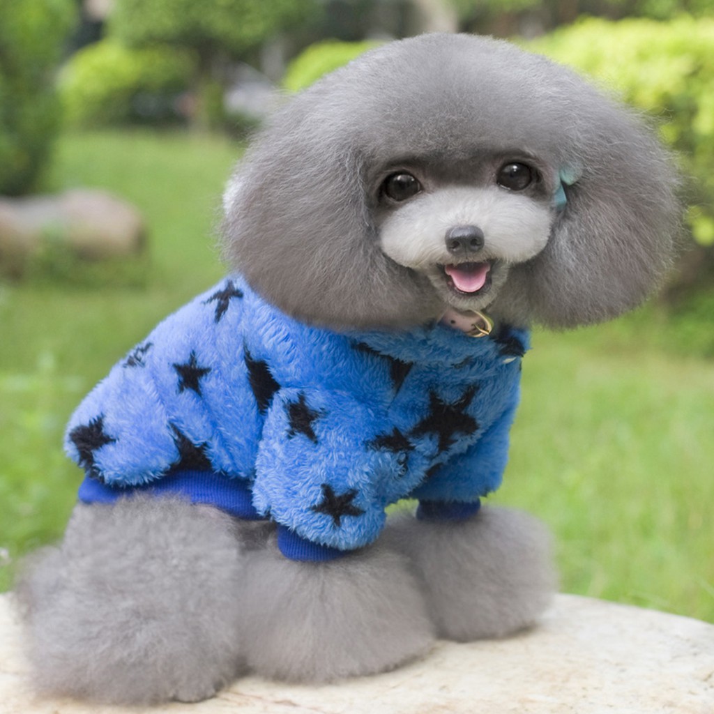 Áo Hoodie In Hình Ngôi Sao Cho Thú Cưng