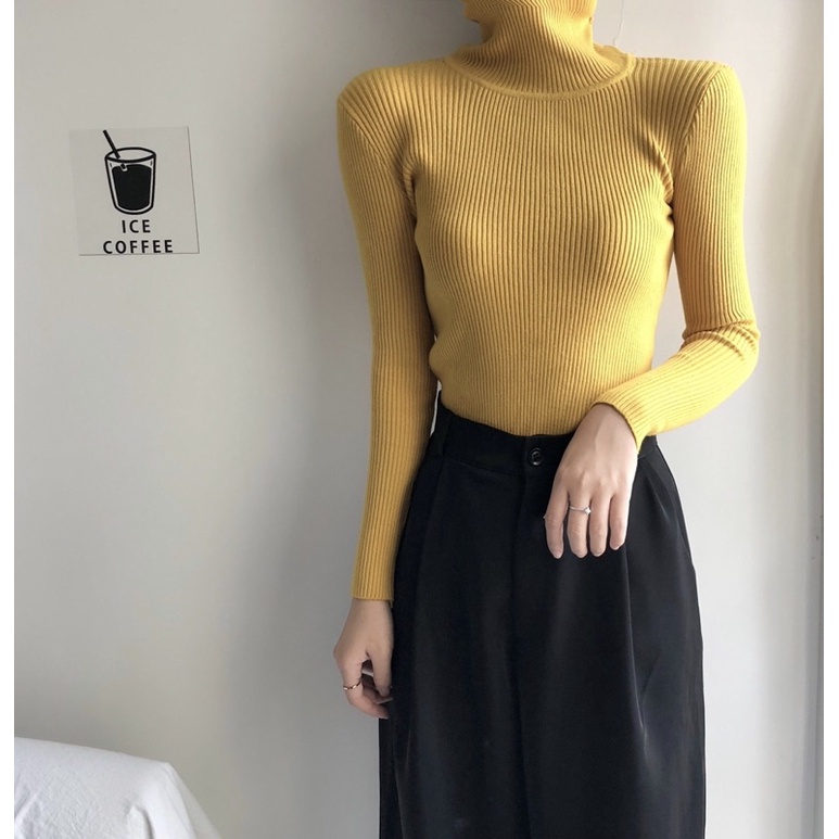 [RẺ VÔ ĐỊCH] Áo len tăm cổ lọ