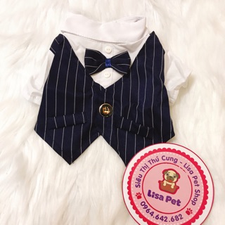 Combo đồ dùng cho chó