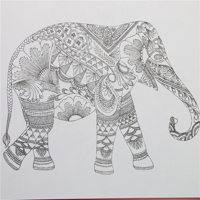 Sách Tô Màu 24 Trang Chủ Đề Động Vật Tiếng Anh Giúp Giảm Căng Thẳng