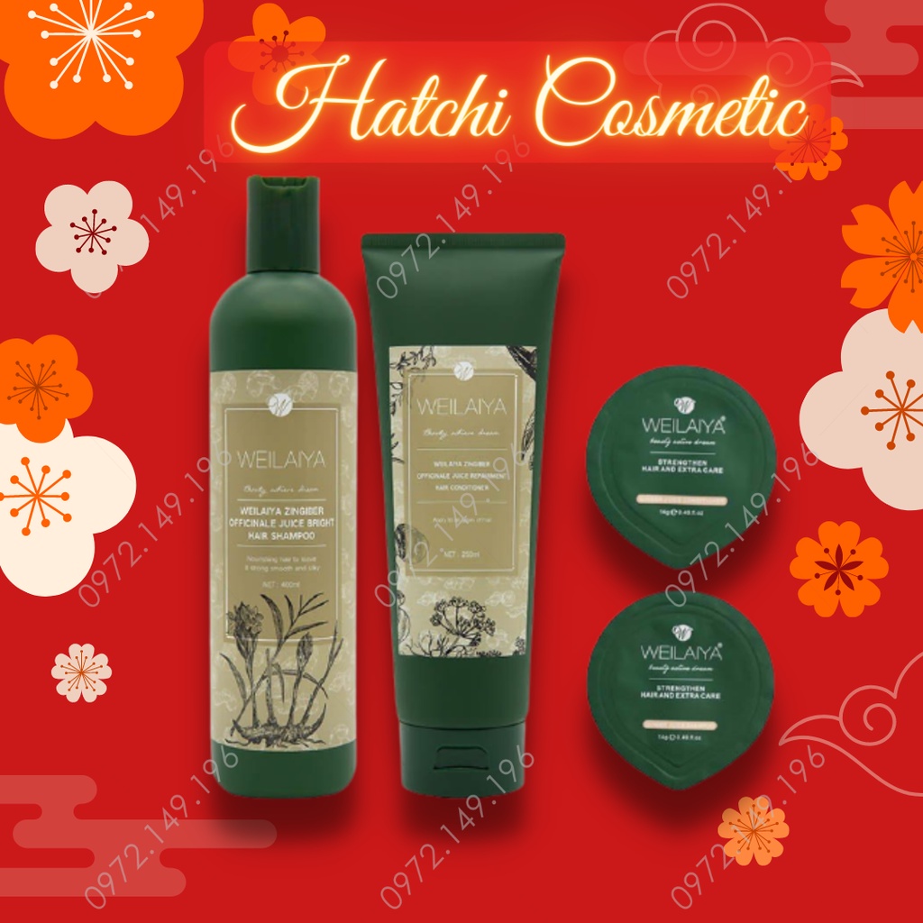 Bộ Dầu Gội, Dầu Xả Tinh Chất Gừng Và Hà Thủ Ô Kích Thích Mọc Tóc ,Ngăn Rụng Tóc