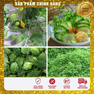 Hạt giống khổ qua rừng ( Tốt cho sức khỏe)