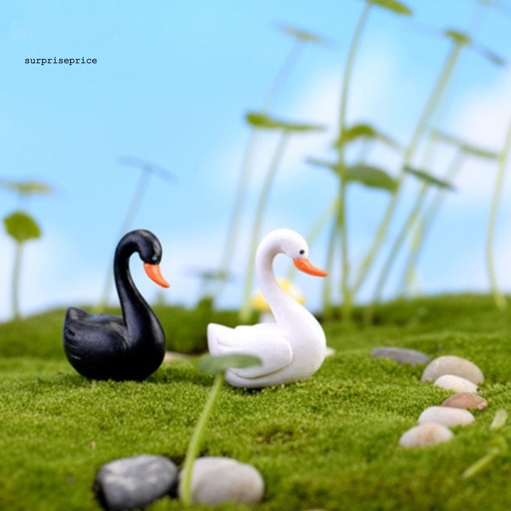 Bộ 2 Khuôn Trưng Bày Thiên Nga Sống Động Như Thật