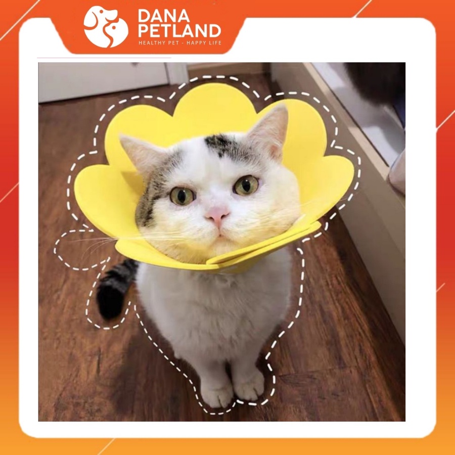 Vòng cổ chống liếm cho chó mèo hình hoa, Loa đeo chống liếm cho chó mèo