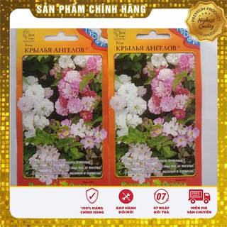 Hạt Giống Cây Hồng Thơm mix Nga