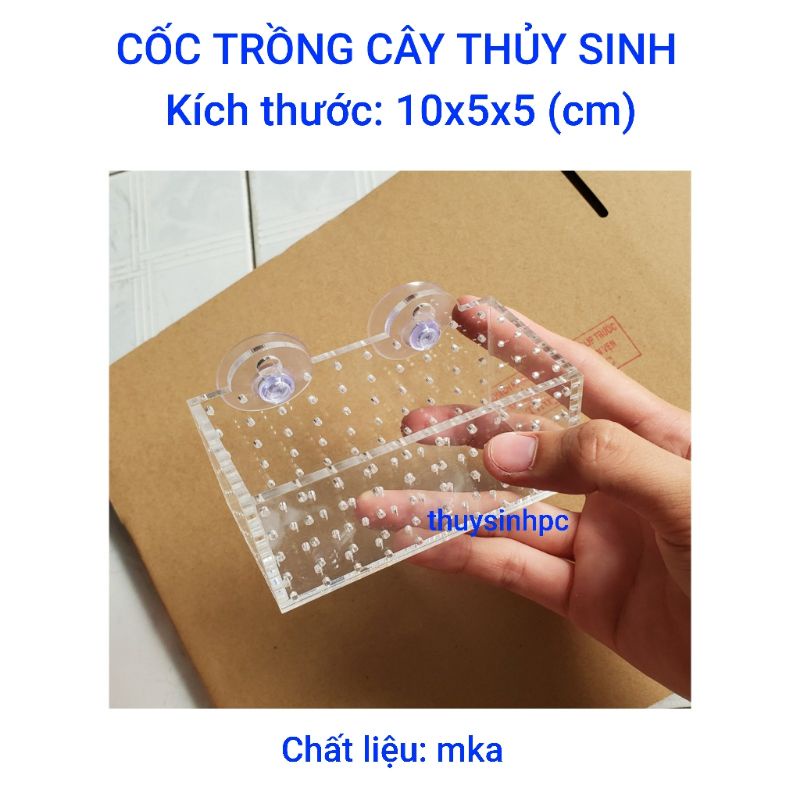 Cốc đôi thủy sinh chất liệu mika