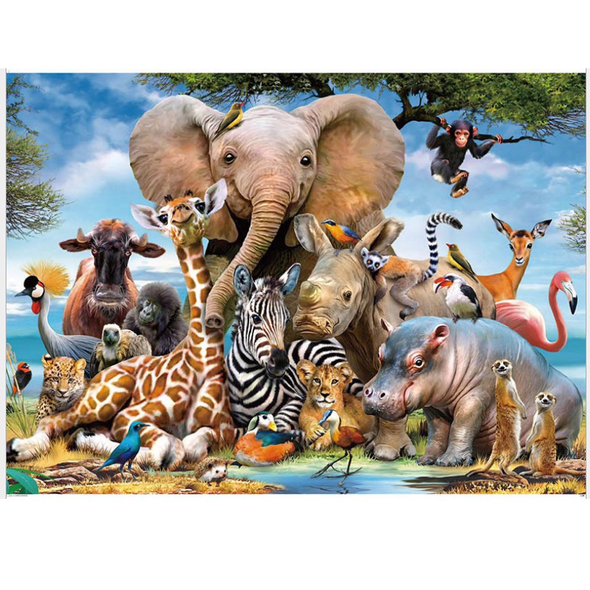 Bộ tranh ghép xếp hình 1000 mảnh giấy bồi trắng cao cấp KT 70x50cm/ Jigsaw puzzle