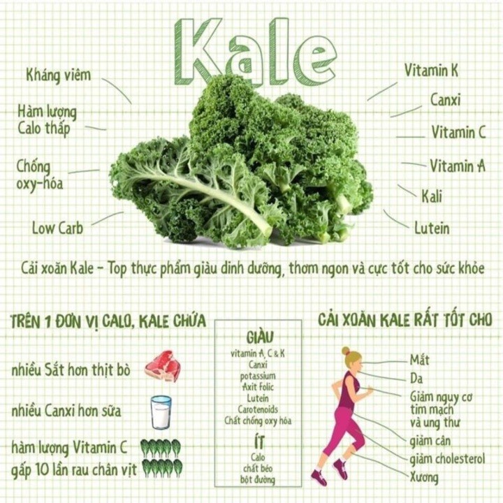 Mì cải Kale hữu cơ ISITO 500gr/gói 10 vắt, ăn mì không nóng