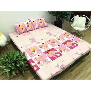 Bộ ga vỏ gối cotton poly chất đẹp giá rẻ