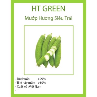 Hạt giống mướp hương siêu trái