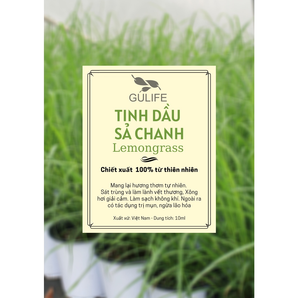 Tinh Dầu Sả Chanh Chiết Xuất Từ Thiên Nhiên GULIFE - Giảm Căng Thằng, Thơm Phòng &amp; Thư Giãn