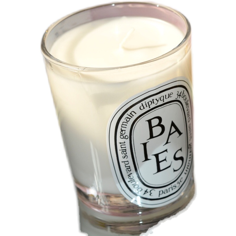 Diptyque premium scented candle home fragrance 190g | BigBuy360 - bigbuy360.vn