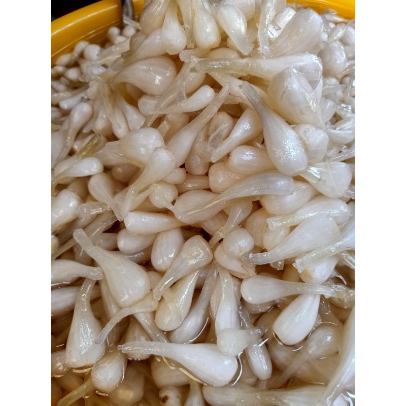 800gr dưa kiệu nhà làm