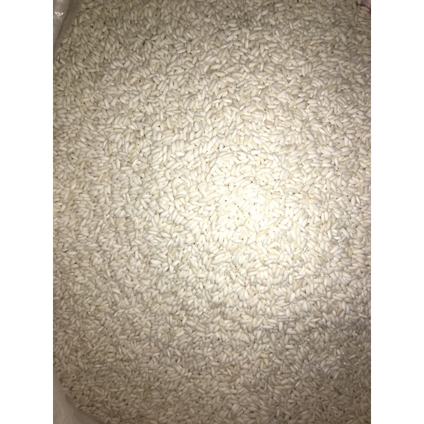 Nếp Thơm Trắng Quê Sạch, Nếp Sáp Ngỗng Ngon Dẻo [1kg]