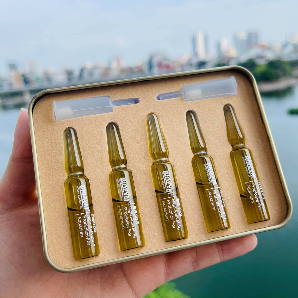 Vi Sinh Cao Cấp BIO Zym 303 Dành Cho Bể Cá , Bể Thuỷ Sinh