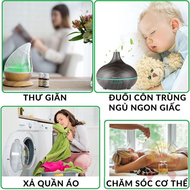 Tinh dầu thiên nhiên 10ml FraGrance cô đặc đuổi muỗi thơm phòng dùng cho đèn xông máy khuếch tán – Nhập Khẩu