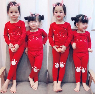 Combo 5 bộ bozip
