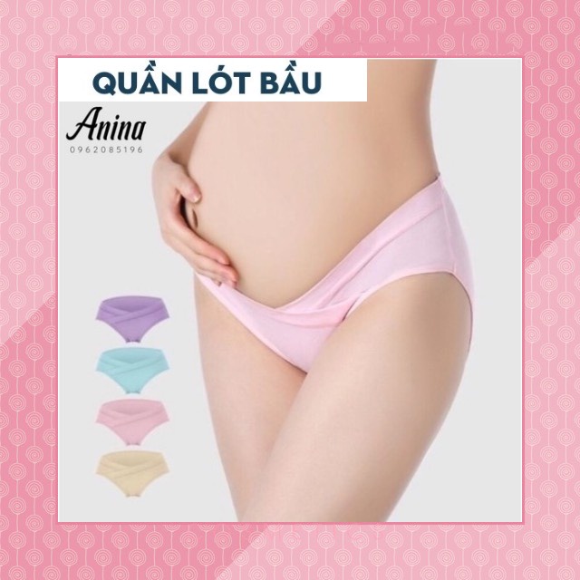 quần lót bầu-quần lót cạp chéo chữ v cao cấp đẹp QL001