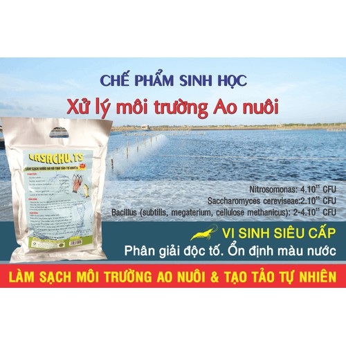 Chế phẩm sinh học xử lý môi trường ao nuôi Thủy sản - Phân giải độc tố, ổn định màu nước