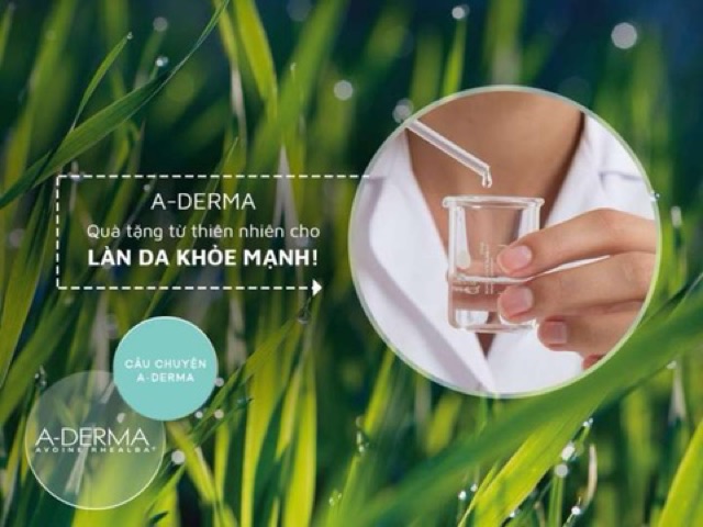 Sữa tắm aderma hỗ trợ giảm mụn lưng ,thu nhỏ lỗ chân lông trên cơ thể 500ml mẩu mới 2021 Van maison | BigBuy360 - bigbuy360.vn