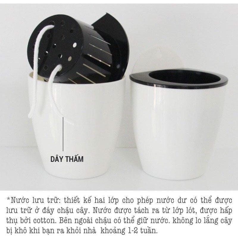 Chậu trồng cây thông minh treo tường tự dưỡng decor đẹp Oliz-K0.Chậu cây tự tưới nước