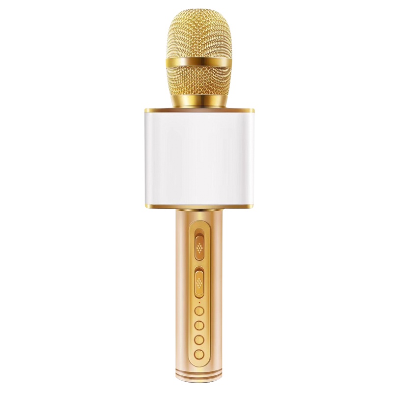 Micro karaoke không dây bluetooth kiêm loa nghe nhạc 3 trong 1 PF391 Gold - Hàng Chính Hãng