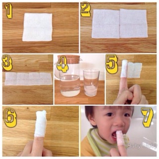 MOBY Gạc rơ lưỡi