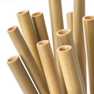 Ống hút tre tự nhiên [Handmade] Sản phẩm không hóa chất sử dụng nhiều lần DiliHome