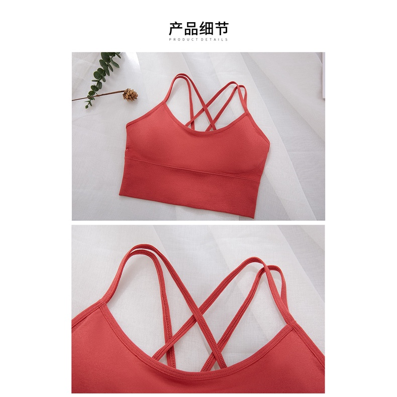 Áo Ngực Thể Thao Chống Sốc Chống Chảy Xệ Có Mút Đệm