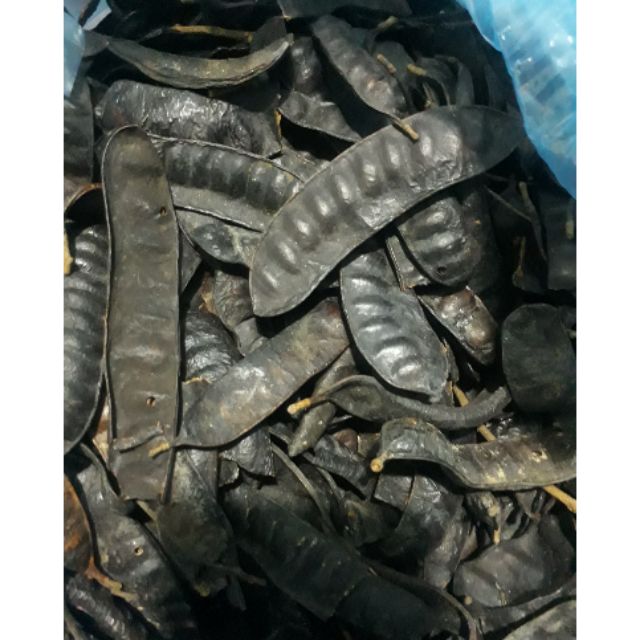 1kg bồ kết trái hình thật