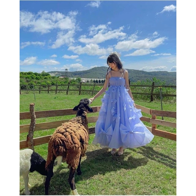 Đầm voan suông 2 dây đính nơ Hồng Tím Xanh Đầm váy đi chơi dạo phố du lịch hotgirl tk dễ thương cute sinh nhật party