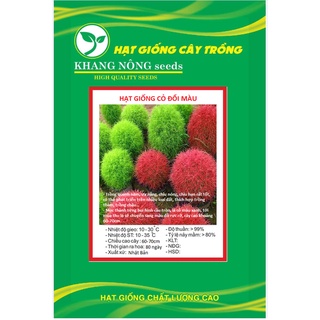 Hạt giống cỏ đổi màu nhật bản kochia kns3466 - gói 50 hạt