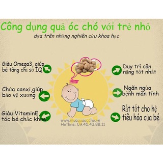 NHÂN HẠT ÓC CHÓ ĐỎ MOURAD TÚI 500G