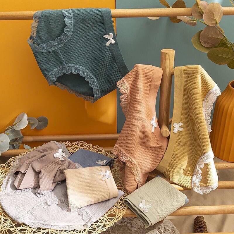 COMBO 10 QUẦN COTTON ĐÍNH NƠ 3312