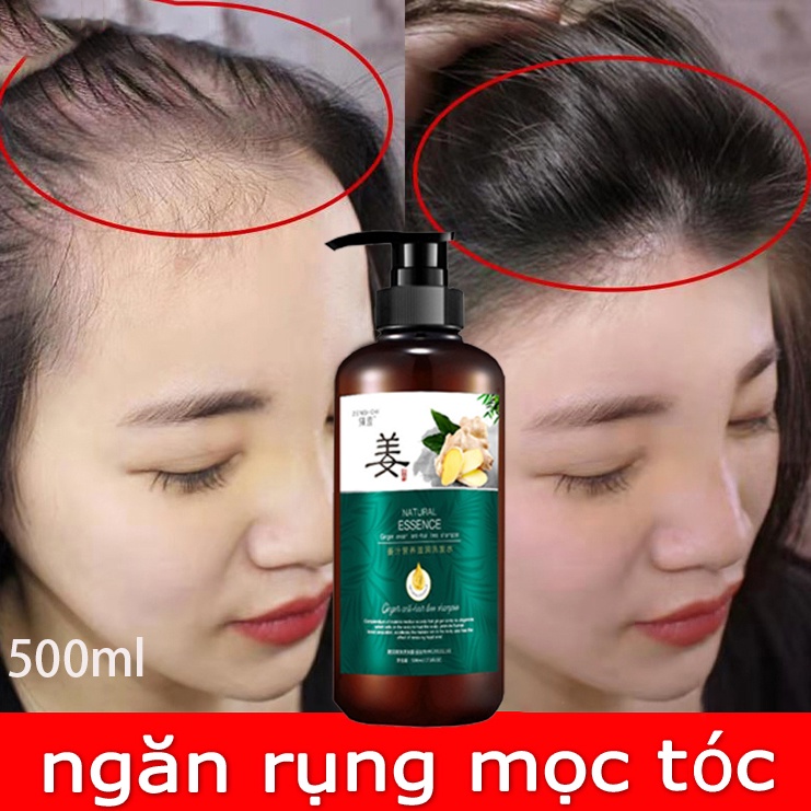 Dầu gội gừng chống rụng tóc 500ml dầu gội đầu tóc mọc thảo dược dưỡng sinh kiểm soát dầu loại bỏ gàu
