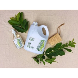 [Tôi là Thảo Mộc] Can Nước rửa bát Lá Ổi 3,68lit - chiết xuất từ lá ổi tươi
