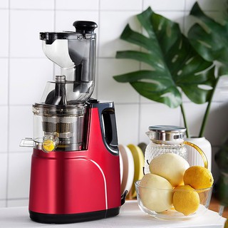 Máy ép chậm HongXin RH312 - Hàng nhập khẩu Hàn Quốc, Máy ép trái cây, hoa quả cực khô, Bảo hành 2 năm.