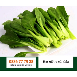 Hạt giống rau cải thìa 20gr ( 5000 hạt)- hatgiong24h