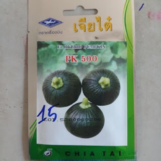 Hạt giống bí đỏ ChiaTai PK500-golden city 334-Big gold city 549-da cóc 346-tina32-bí đậu ctv1009-Thái lan