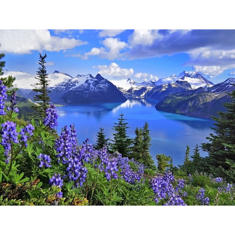 Bộ Tranh Đính Đá 100% Tự Làm Hình Phong Cảnh Độc Đáo Kích Thước 30X40CM Kèm Phụ Kiện