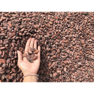 Bột CaCao CacaoMi Original 127g
