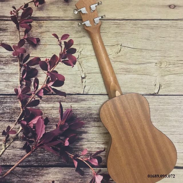 (SIÊU PHẨM) ĐÀN UKULELE CONCERT MẶT VÀNG VÁT VIỀN